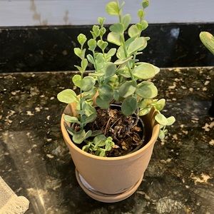 Reserved listing special listing